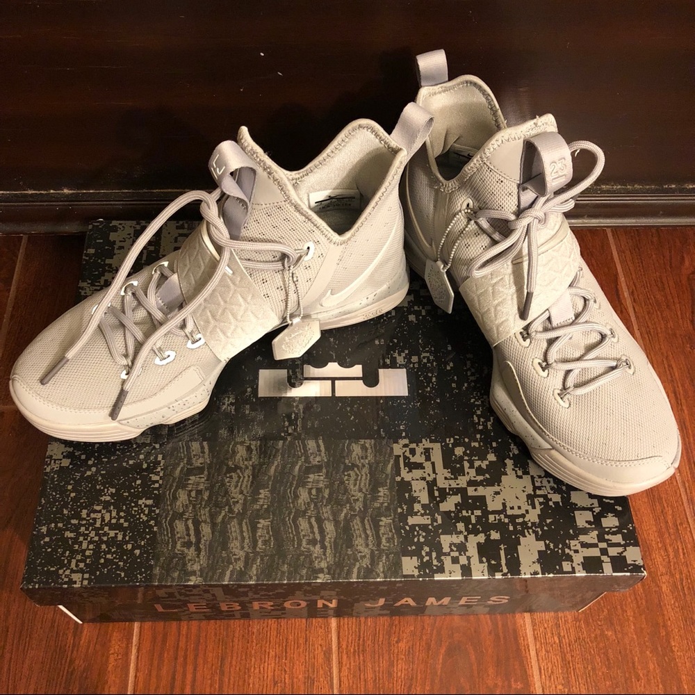 Lebron James XIV Basketball Shoes